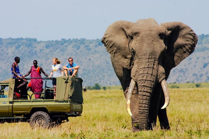 3-Day Masai Mara Luxury Shared Safari